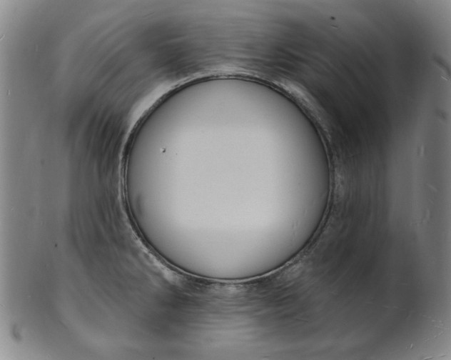 X0000102231286200808081339