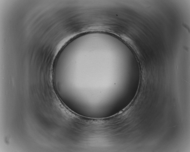 X0000102231288200808081339