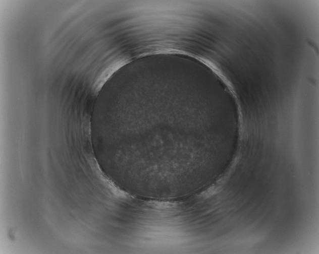 X0000102231289200808081339