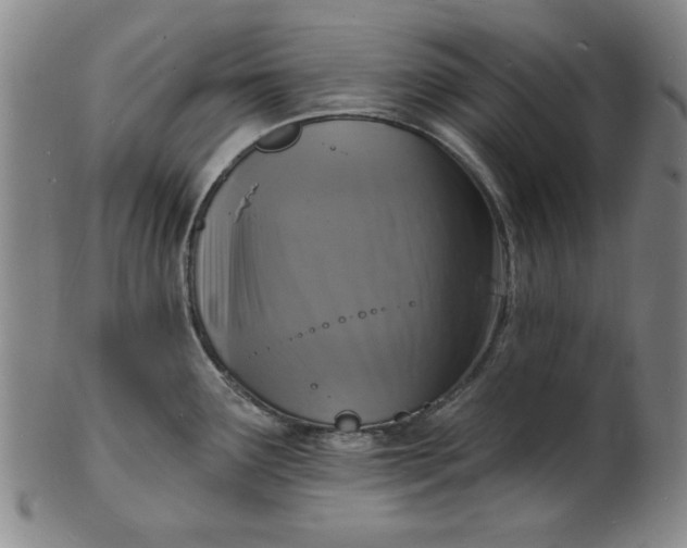 X0000102231291200808081339