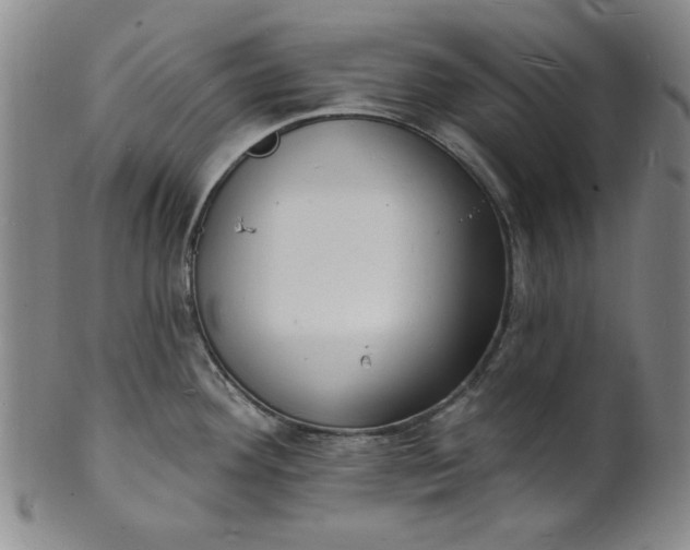 X0000102231292200808081339