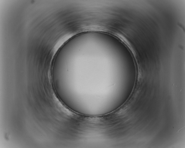 X0000102231293200808081339