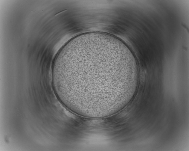 X0000102231294200808081339