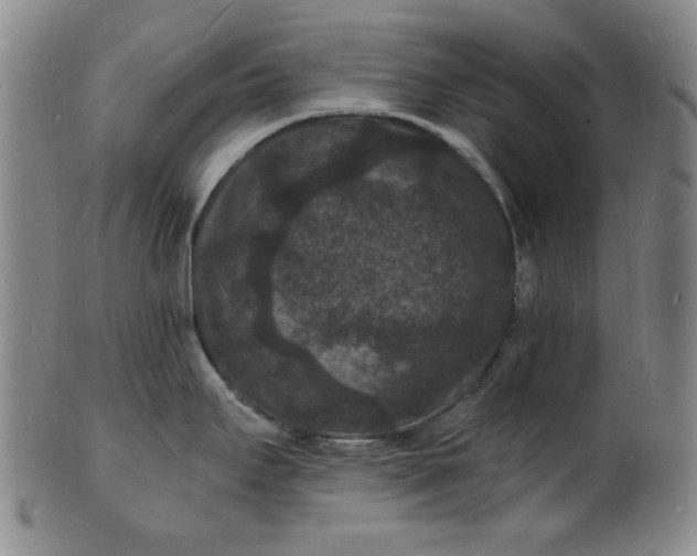 X0000102231295200808081339