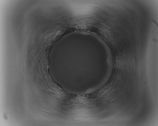 X0000102231297200808081338