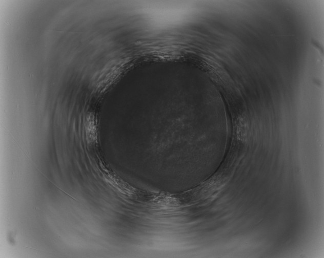 X0000102231298200808081338