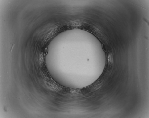 X0000102231299200808081338