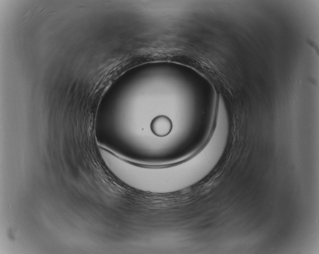 X0000102231300200808081338