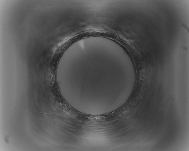X0000102231303200808081338