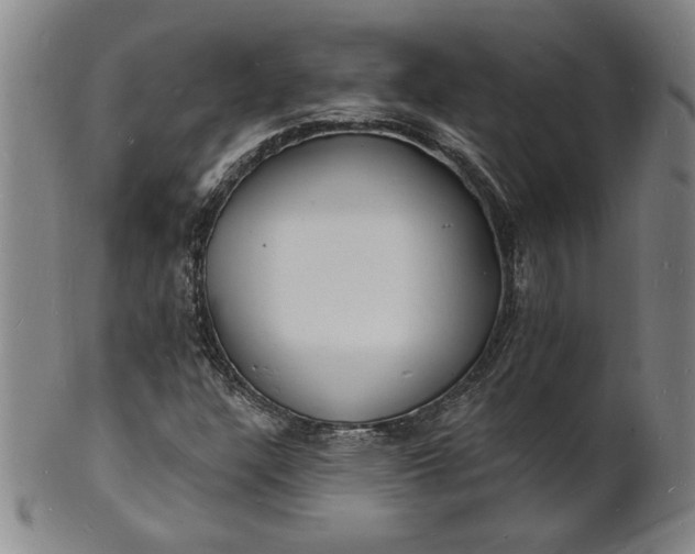 X0000102231304200808081338