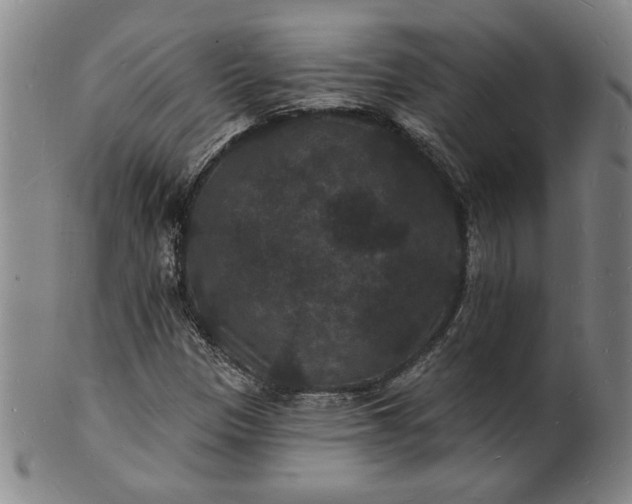 X0000102231305200808081338