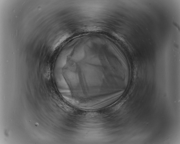 X0000102231306200808081338