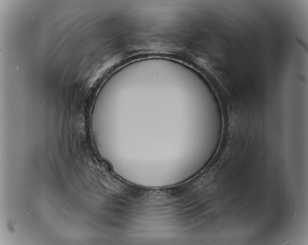 X0000102231307200808081338