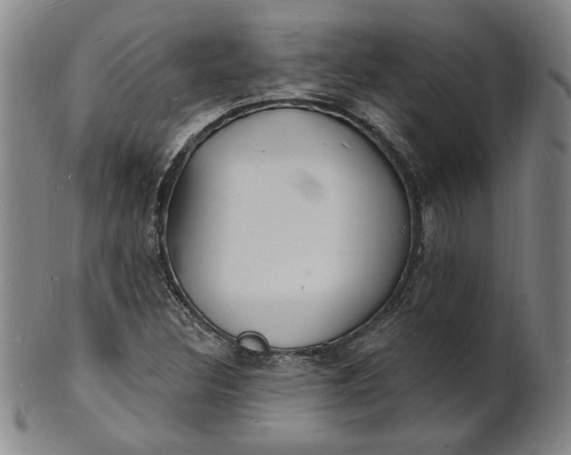 X0000102231308200808081338
