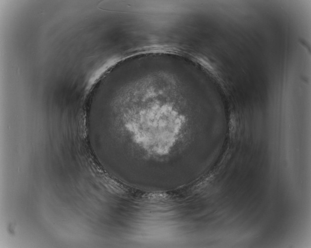X0000102231310200808081338
