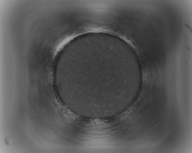 X0000102231311200808081338