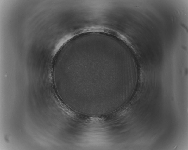 X0000102231312200808081338