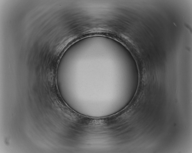 X0000102231313200808081338