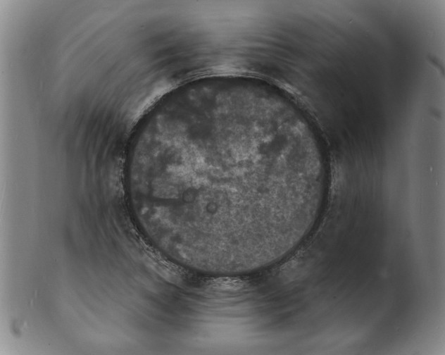 X0000102231314200808081338