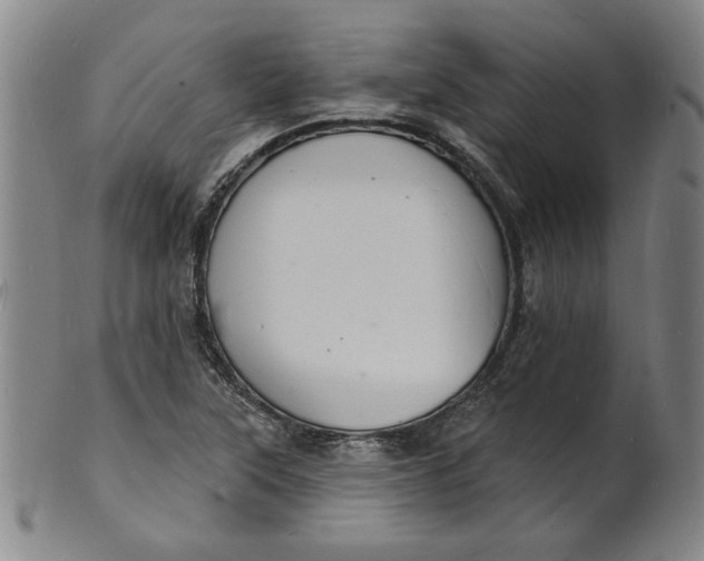 X0000102231315200808081338