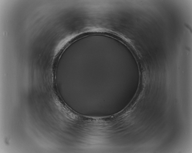 X0000102231319200808081338