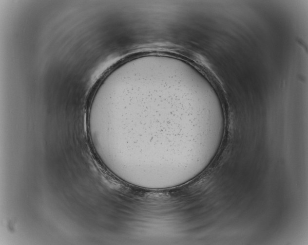 X0000102231320200808081338