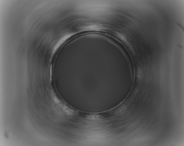 X0000102231323200808081338