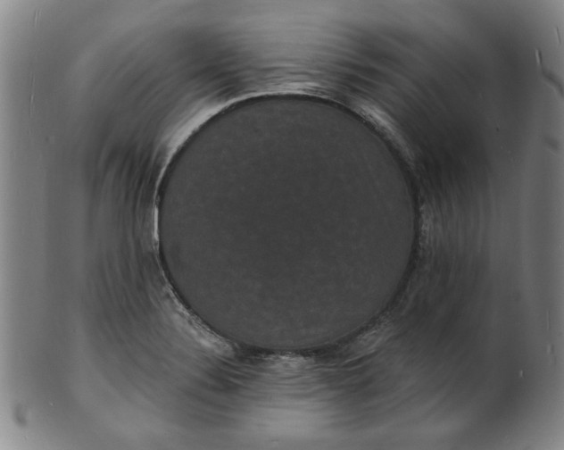 X0000102231324200808081338