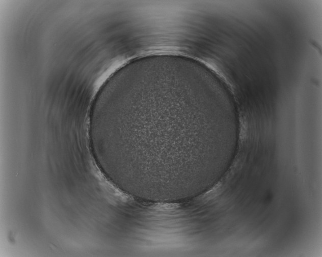 X0000102231325200808081338