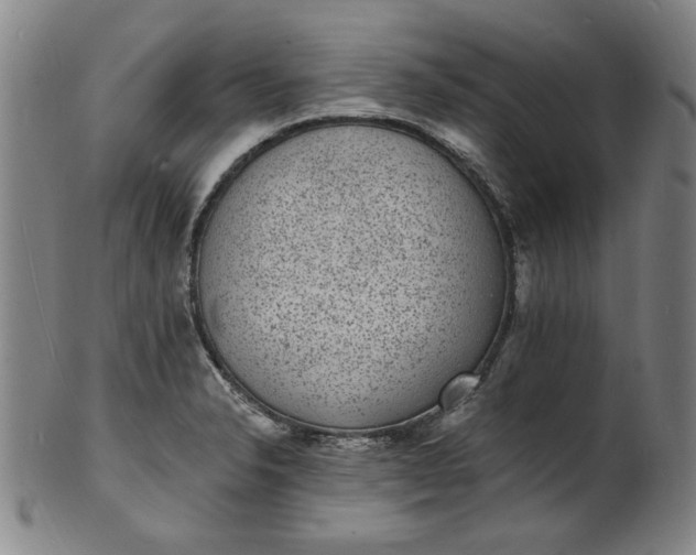 X0000102231326200808081338