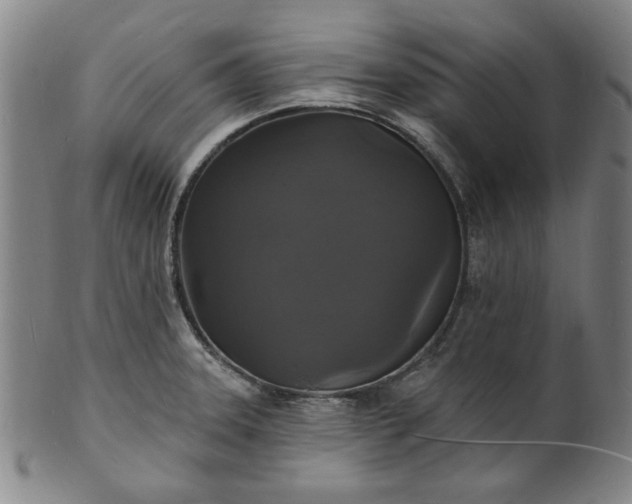 X0000102231331200808081338