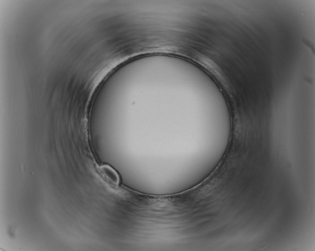 X0000102231332200808081338