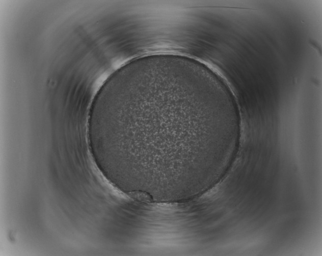 X0000102231333200808081339