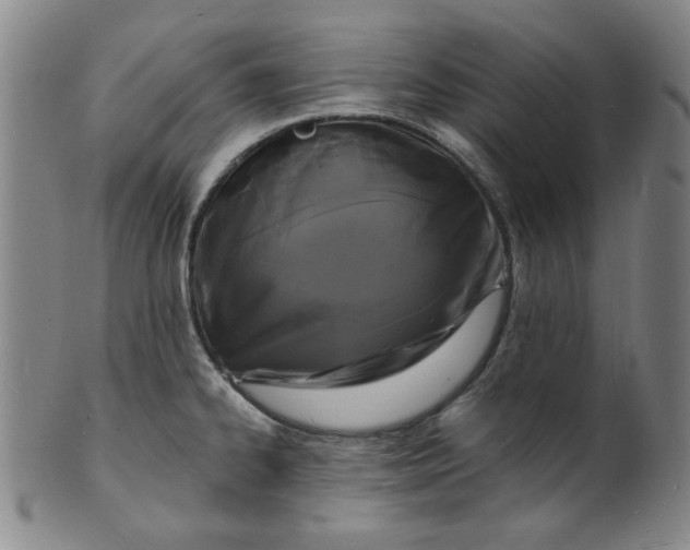 X0000102231334200808081339