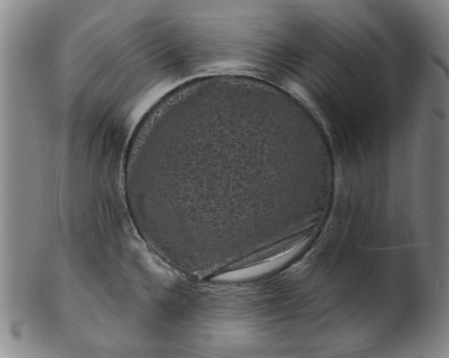X0000102231336200808081339