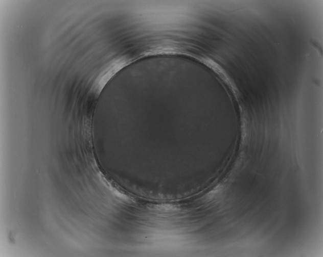 X0000102231337200808081339