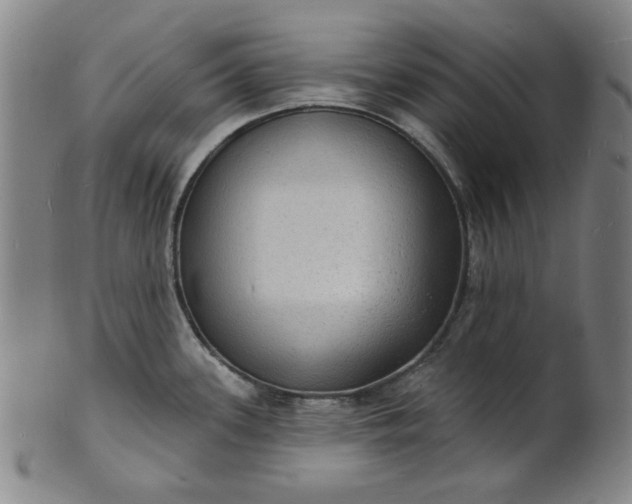 X0000102231339200808081339