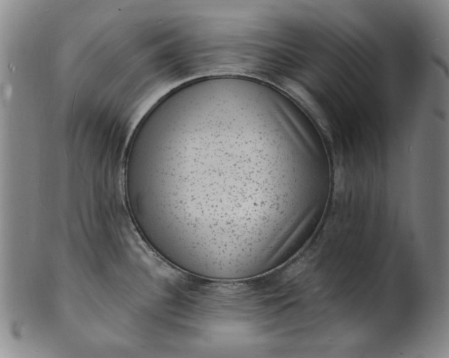 X0000102231340200808081339