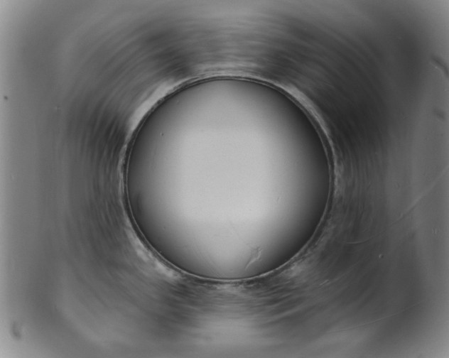 X0000102231341200808081339