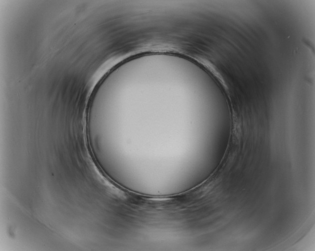 X0000102231343200808081339