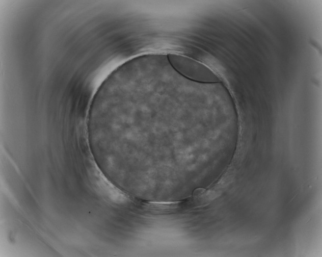 X0000102231344200808081339