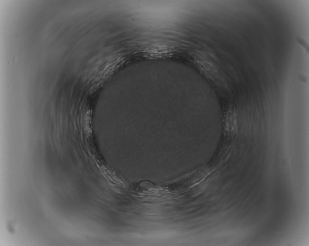 X0000102231346200808081338
