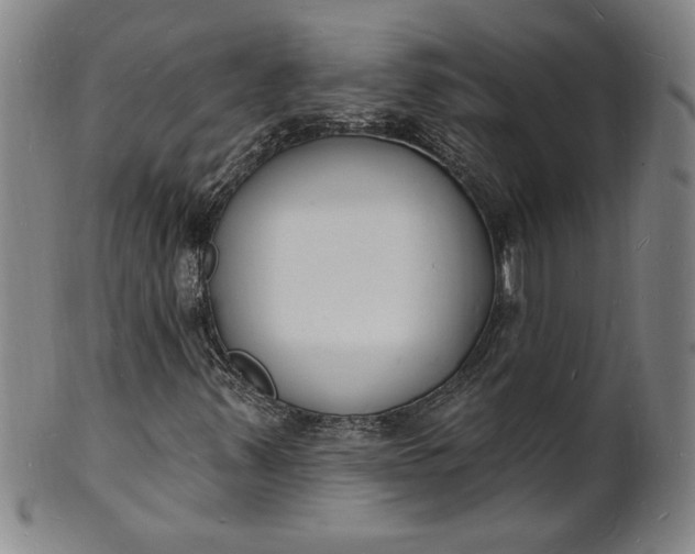 X0000102231347200808081338