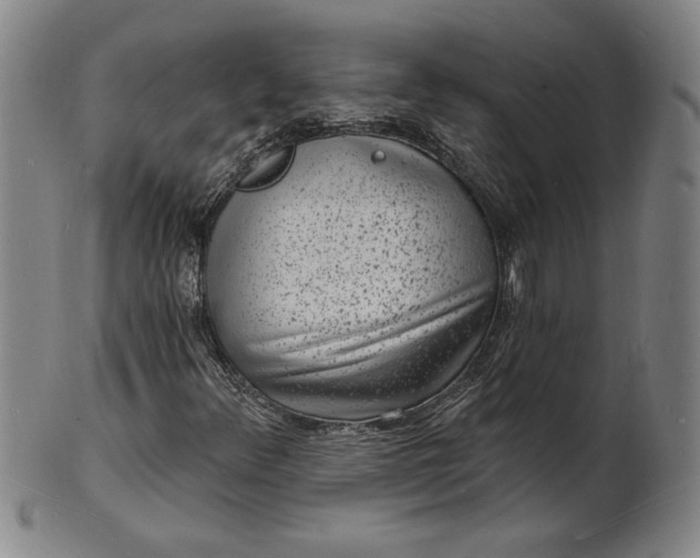 X0000102231348200808081338