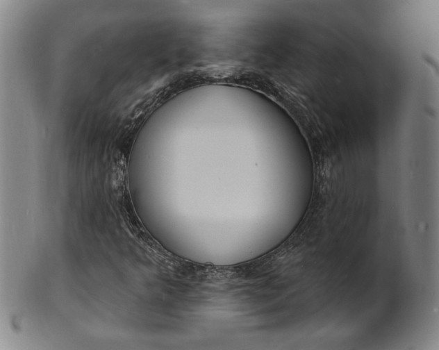 X0000102231349200808081338