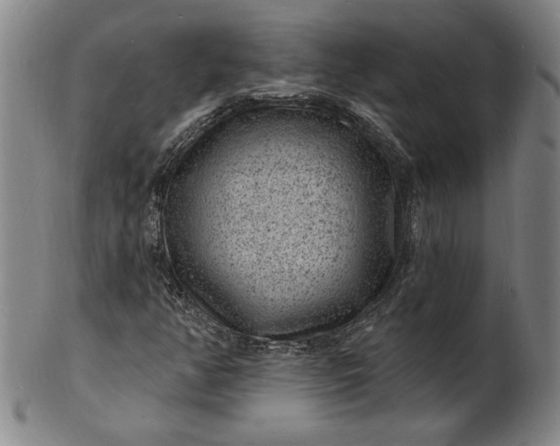 X0000102231350200808081338