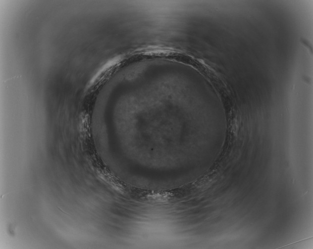 X0000102231351200808081338