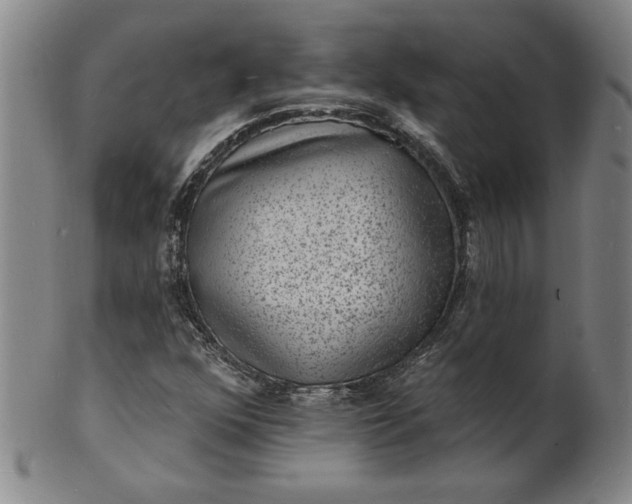 X0000102231352200808081338