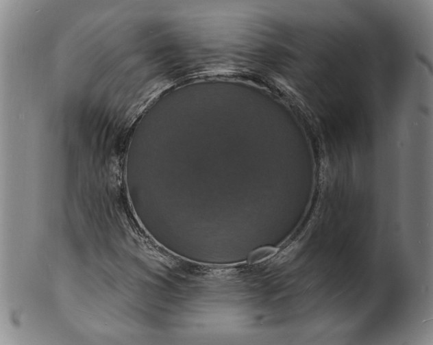 X0000102231353200808081338