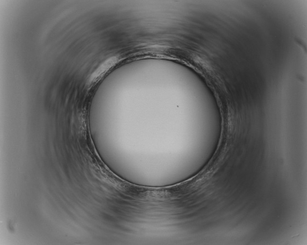 X0000102231354200808081338